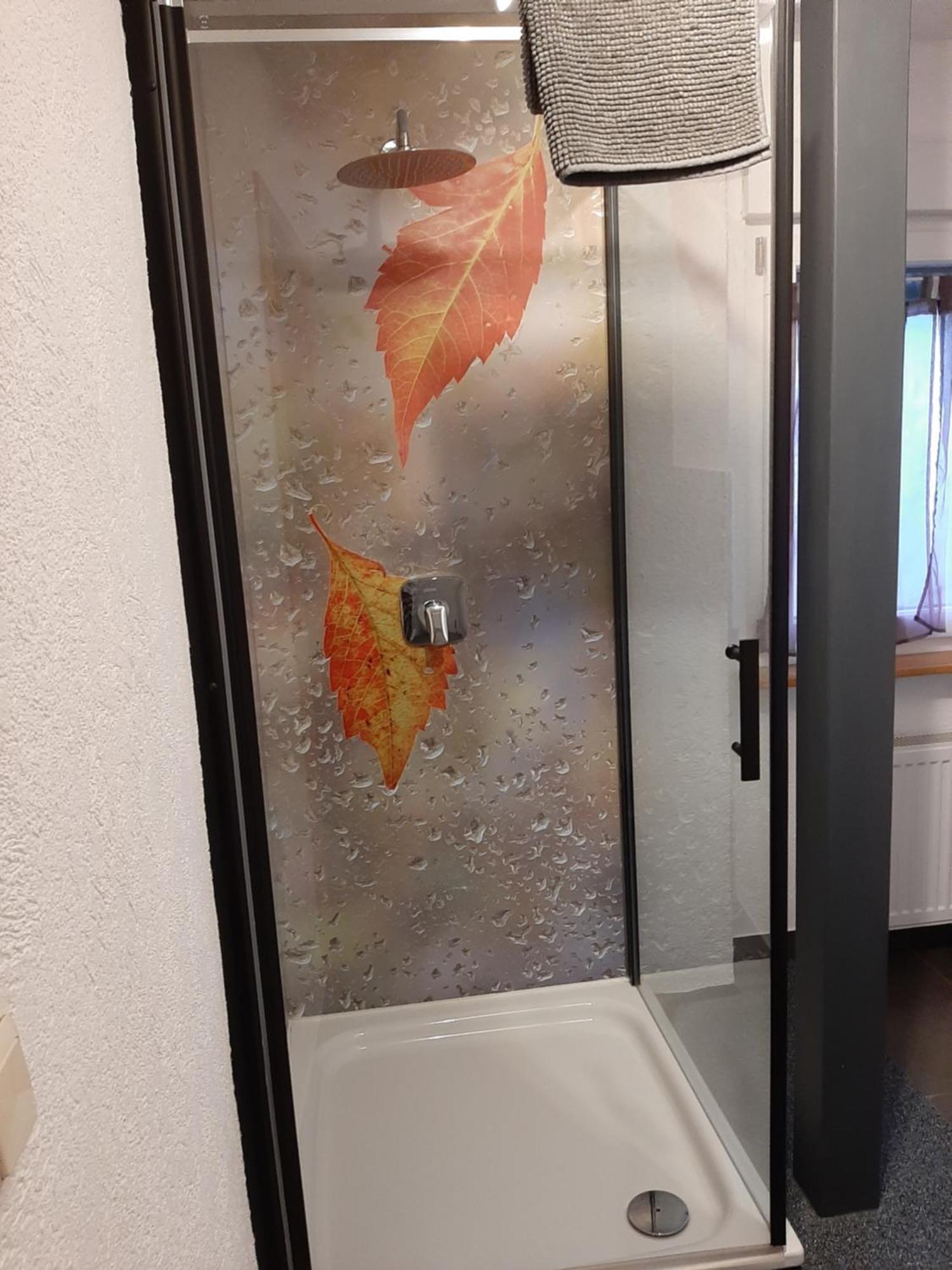 Pension Auenwald Kehl Exteriér fotografie